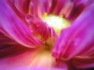 Introduction to the Art of Tantra