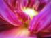 Exploring the Fabric of the Feminine<br>